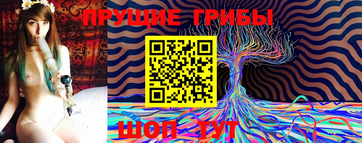 Орёл  Псилоцибиновые грибы Psilocybe  Вход с VPN  Псилоцибиновые грибы мицелий 