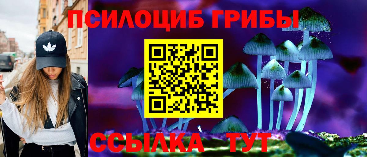 Псилоцибиновые грибы ЛСД Орёл